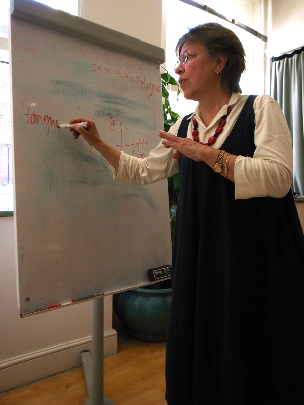 Kampo Apprentice Course